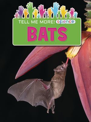 Bats image number 0