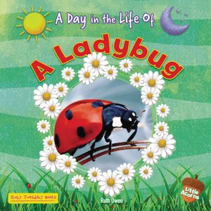 A Ladybug image number 0