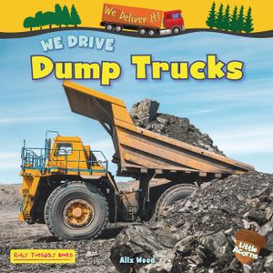 We Drive Dump Trucks image number 0