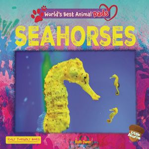 Seahorses image number 0