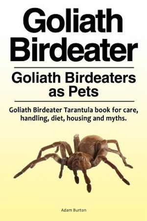Goliath Birdeater . Goliath Birdeaters as Pets. Goliath Birdeater Tarantula book for care, handling, diet, housing and myths. image number 0