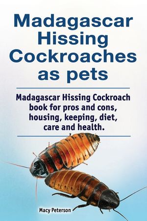 Madagascar Hissing Cockroaches as Pets. Madagascar Hissing Cockroach Book for Pros and Cons, Housing, Keeping, Diet, Care and Health. image number 0