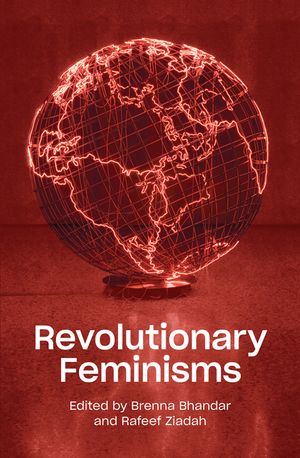 Revolutionary Feminisms: Conversations on Collective Action and Radical Thought image number 0