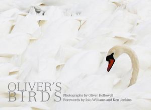 Oliver's Birds: By Oliver Hellowell image number 0