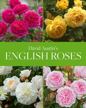 David Austin's English Roses image number 0