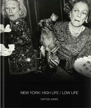 New York: High Life, Low Life image number 0