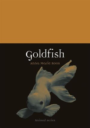 Goldfish image number 0