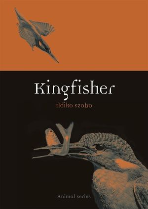 Kingfisher image number 0