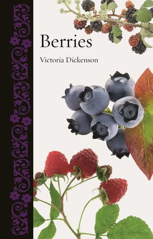 Berries image number 0