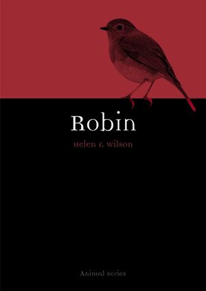 Robin image number 0