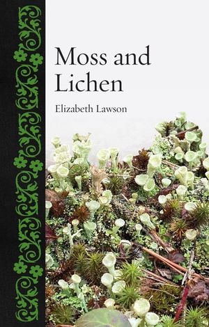 Moss and Lichen image number 0