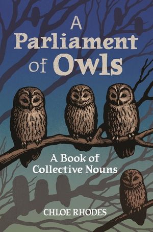 A Parliament of Owls: A Book of Collective Nouns image number 0