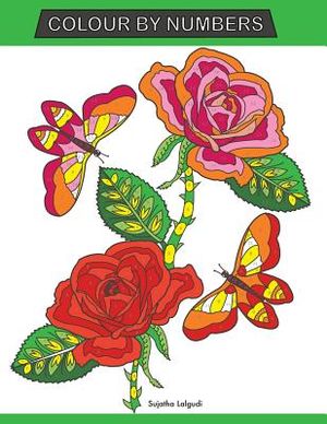 Colour by Numbers: Large Print Colour By Number Butterflies, Birds, and Flowers Adult Colouring Book image number 0