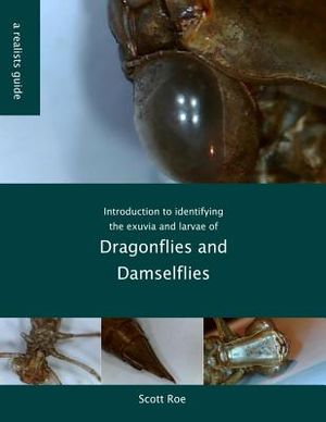 Introduction to Identifying the Exuvia and Larvae of Dragonflies image number 0