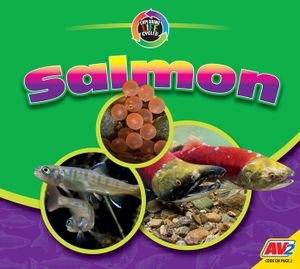 Salmon image number 0