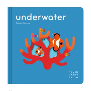 Touchthinklearn: Underwater image number 0