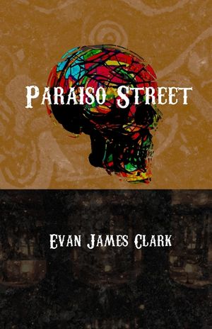 Paraiso Street image number 0