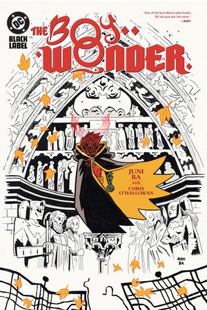 The Boy Wonder image number 0