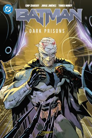 Batman Vol. 4 image number 0