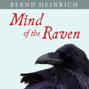 Mind of the Raven Lib/E: Investigations and Adventures with Wolf-Birds image number 0