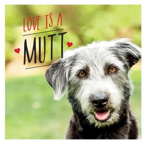 Love Is a Mutt: A Dog-Tastic Celebration of the World's Cutest Mixed and Cross Breeds image number 0