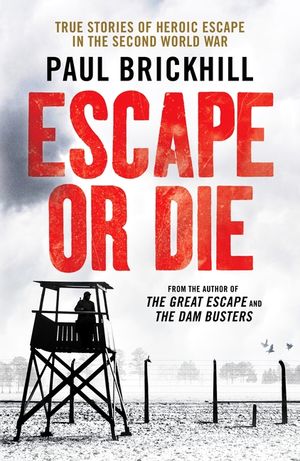 Escape or Die: Perfect for Fans of Damien Lewis' SAS Great Escapes image number 0