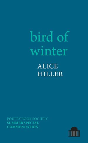 Bird of Winter image number 0