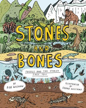 Stones and Bones: Fossils and the Stories They Tell image number 0