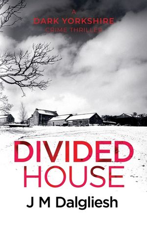 Divided House image number 0