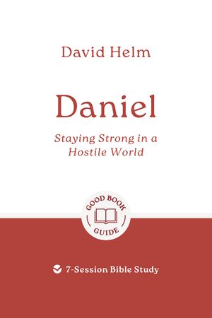 Daniel: Staying Strong in a Hostile World: 7-Session Bible Study image number 0