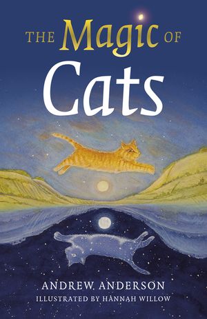 The Magic of Cats image number 0