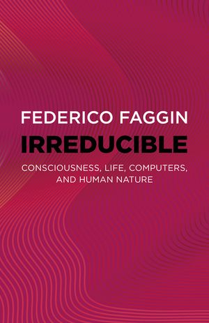 Irreducible: Consciousness, Life, Computers, and Human Nature image number 0