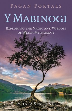 Pagan Portals Y Mabinogi: Exploring the Magic and Wisdom of Welsh Mythology image number 0