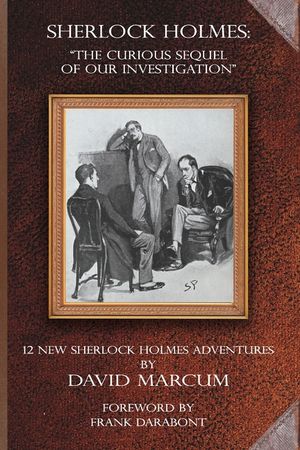 Sherlock Holmes - The Curious Sequel of Our Investigation: 12 New Sherlock Holmes Adventures image number 0