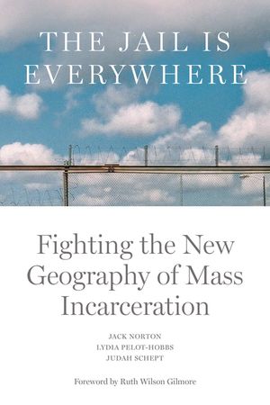 The Jail Is Everywhere: Fighting the New Geography of Mass Incarceration image number 0