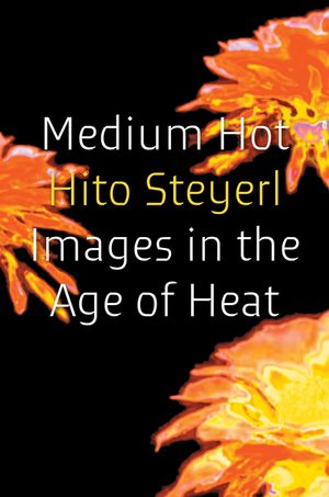 Medium Hot: Images in the Age of Heat image number 0