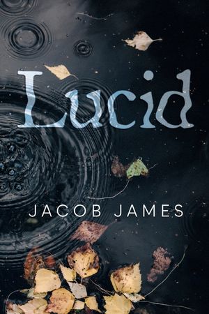 Lucid image number 0