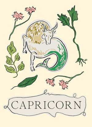Capricorn image number 0