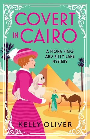 Covert in Cairo image number 0