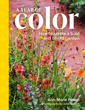 A Year of Color: How to Create a Bold and Bright Garden image number 0