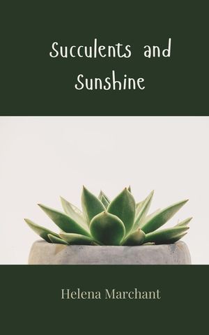 Succulents and Sunshine image number 0
