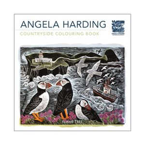 Coastlines (Angela Harding) Colouring Book image number 0