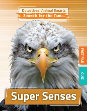 Super Senses image number 0