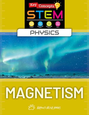 Magnetism image number 0
