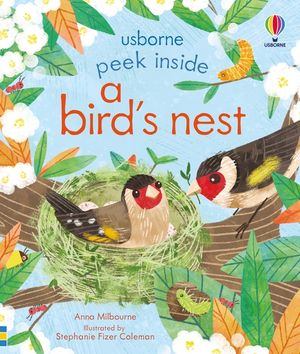 Peek Inside a Bird's Nest image number 0