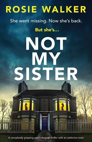 Not My Sister: A completely gripping psychological thriller with an addictive twist image number 0