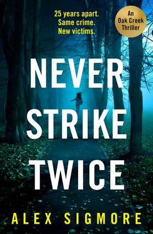 Never Strike Twice image number 0