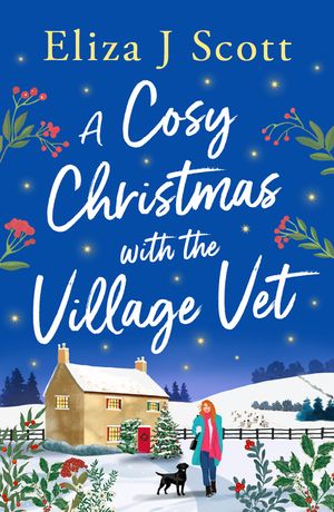 A Cosy Christmas with the Village Vet image number 0