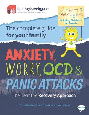 Anxiety, Worry, Ocd & Panic Attacks - The Definitive Recovery Approach: The Complete Guide for Your Family image number 0