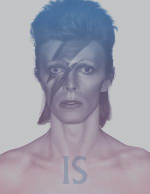 David Bowie Is image number 0